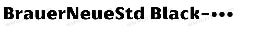 BrauerNeueStd Black字体转换